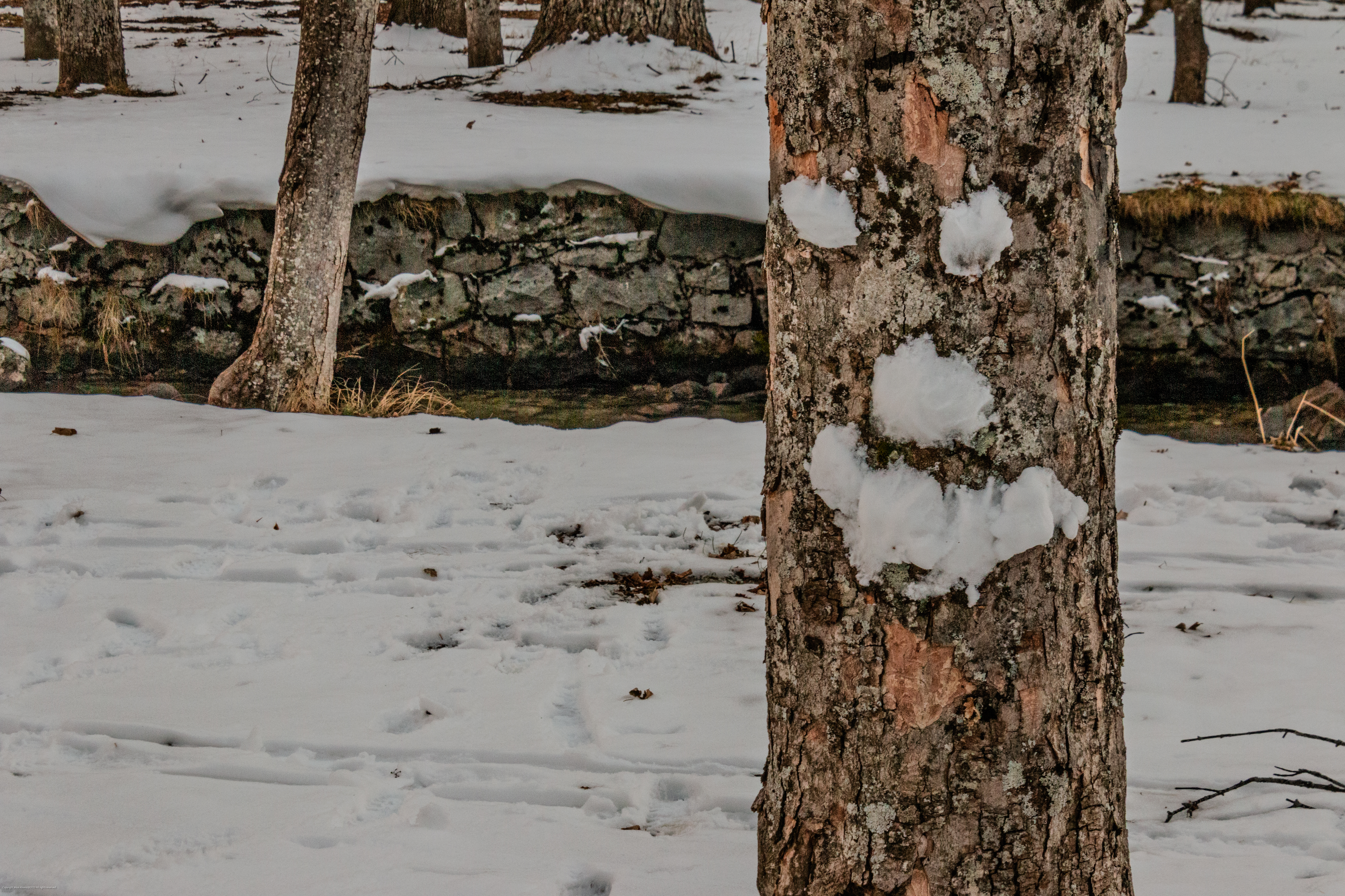 Sonríe, que hay foto